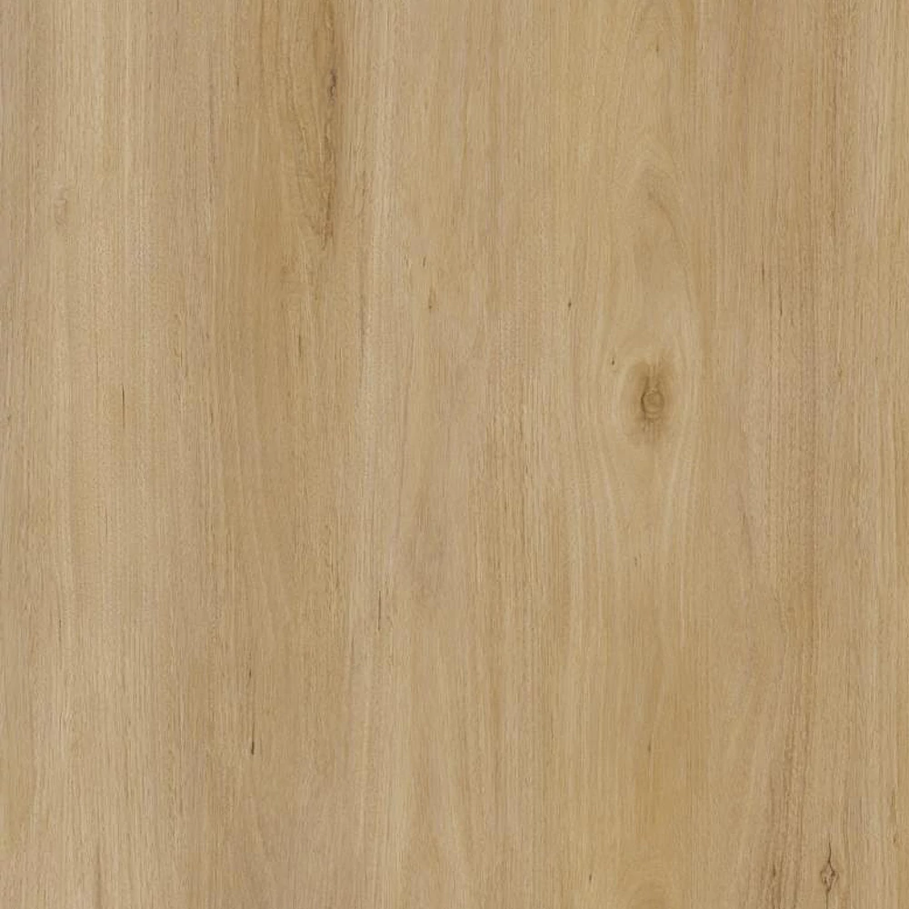 Spca*:・'°☆品 Parchet SPC Classen Ceramin Nuva Selected Pure Oak Mid Brown 65241