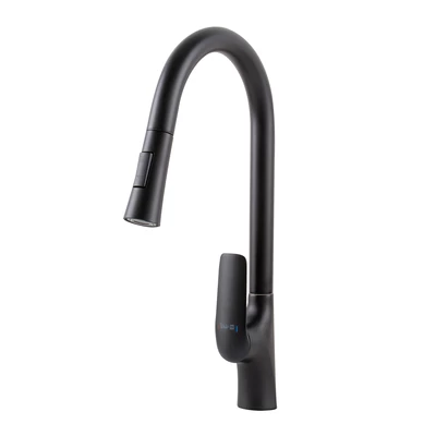 Ibiza Black Baterie de bucătărie cu duș extractibil