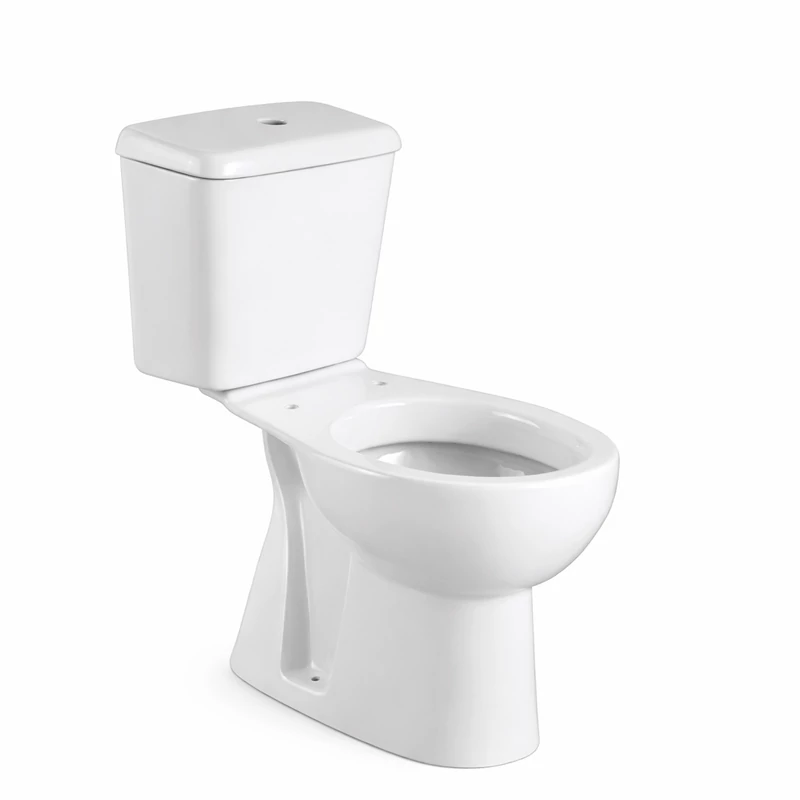 Vas toaletă monobloc